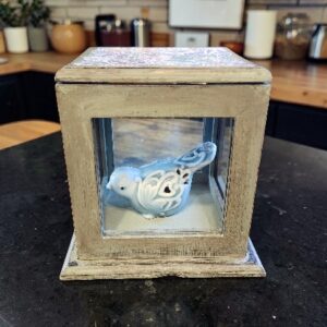 Wood and Glass Shadow box with bird